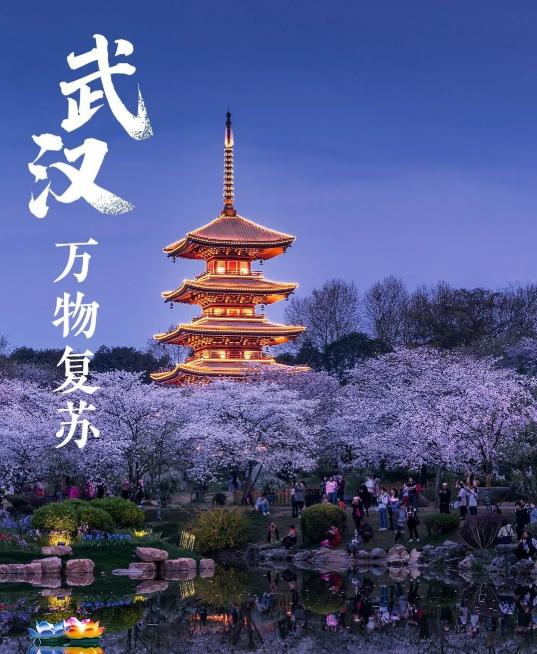 武汉最新疫情动态，变化中的学习展现自信与成就的力量