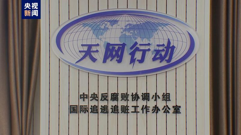 国脉天网最新动态更新概况