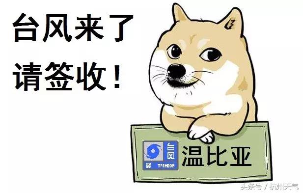 各类运输车辆 第232页