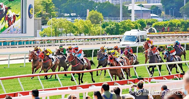 2024香港赛马全年免费资料,完善实施计划_定义版14.659