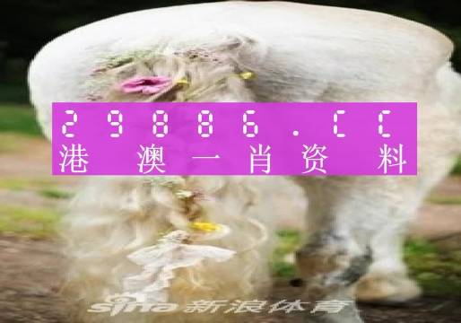 今晚必中一肖一码四不像,实时更新解释介绍_多功能版88.914