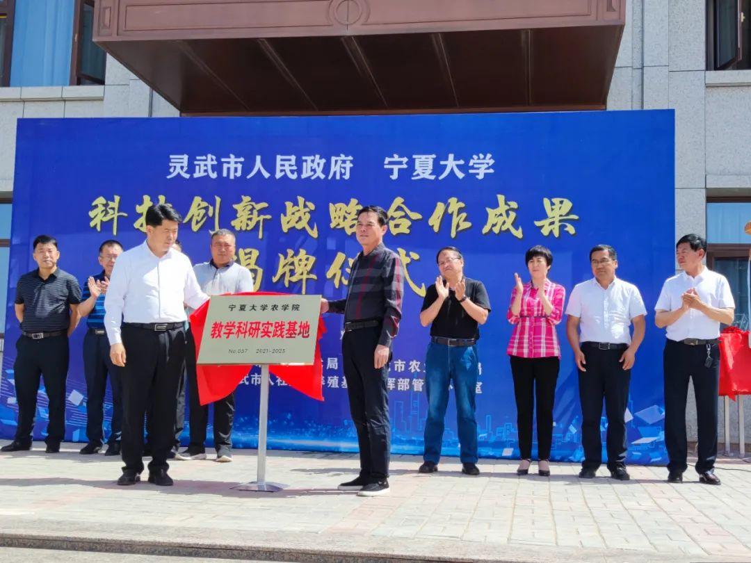 新澳精准资料免费提供最新版,推动策略优化_高效版43.383
