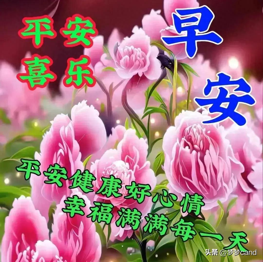 2024天天彩全年免费资料,全盘细明说明_闪电版3.772