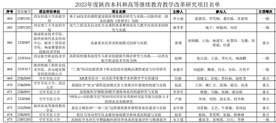 2024新奥免费资料,精细化实施分析_量身定制版11.149
