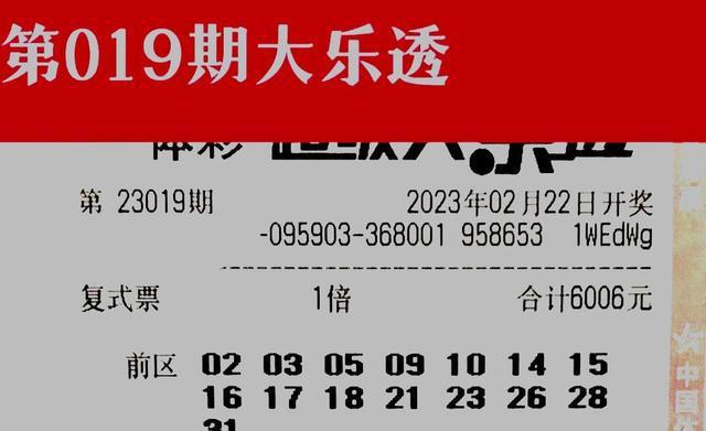 2024澳门天天彩期期精准,专家意见法案_全景版53.734