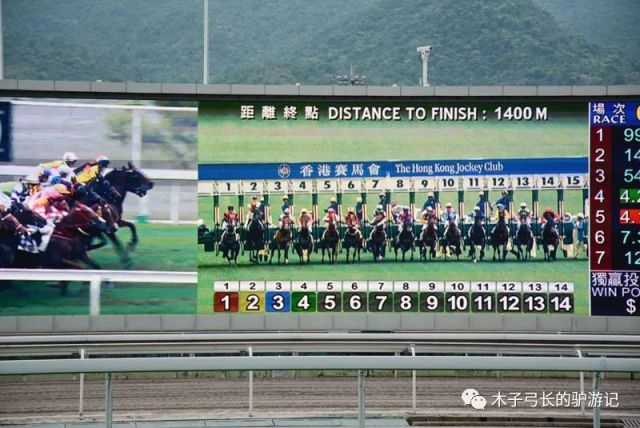 2024香港赛马全年免费资料,稳固执行战略分析_电影版22.694