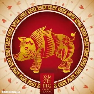摇钱树四肖八码期期三码必中,完善实施计划_儿童版82.234