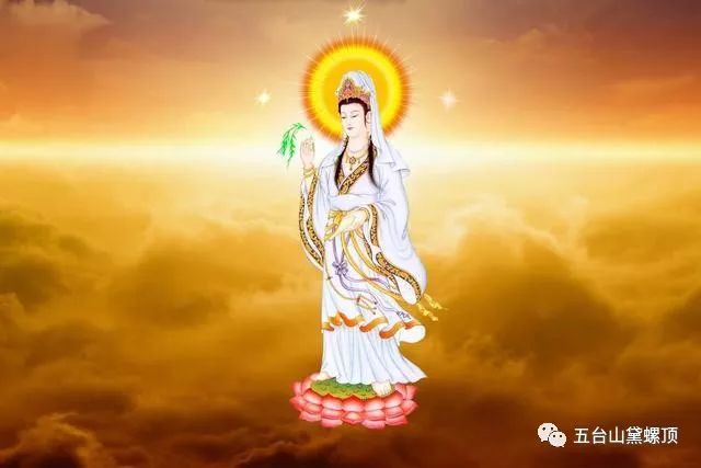 服务案例 第174页