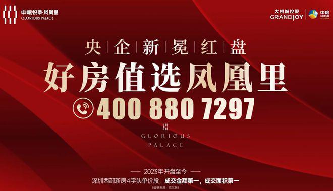 新能凤凰，小巷中的美食宝藏揭秘