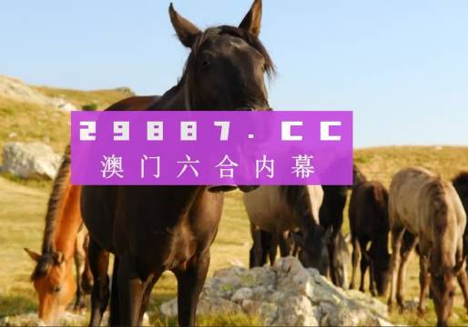服务案例 第170页