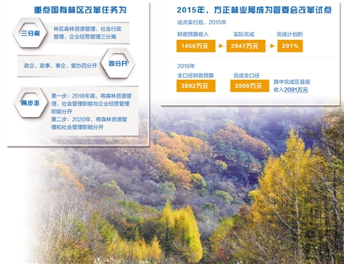 国有林场改革最新动态，绿色变革的澎湃浪潮