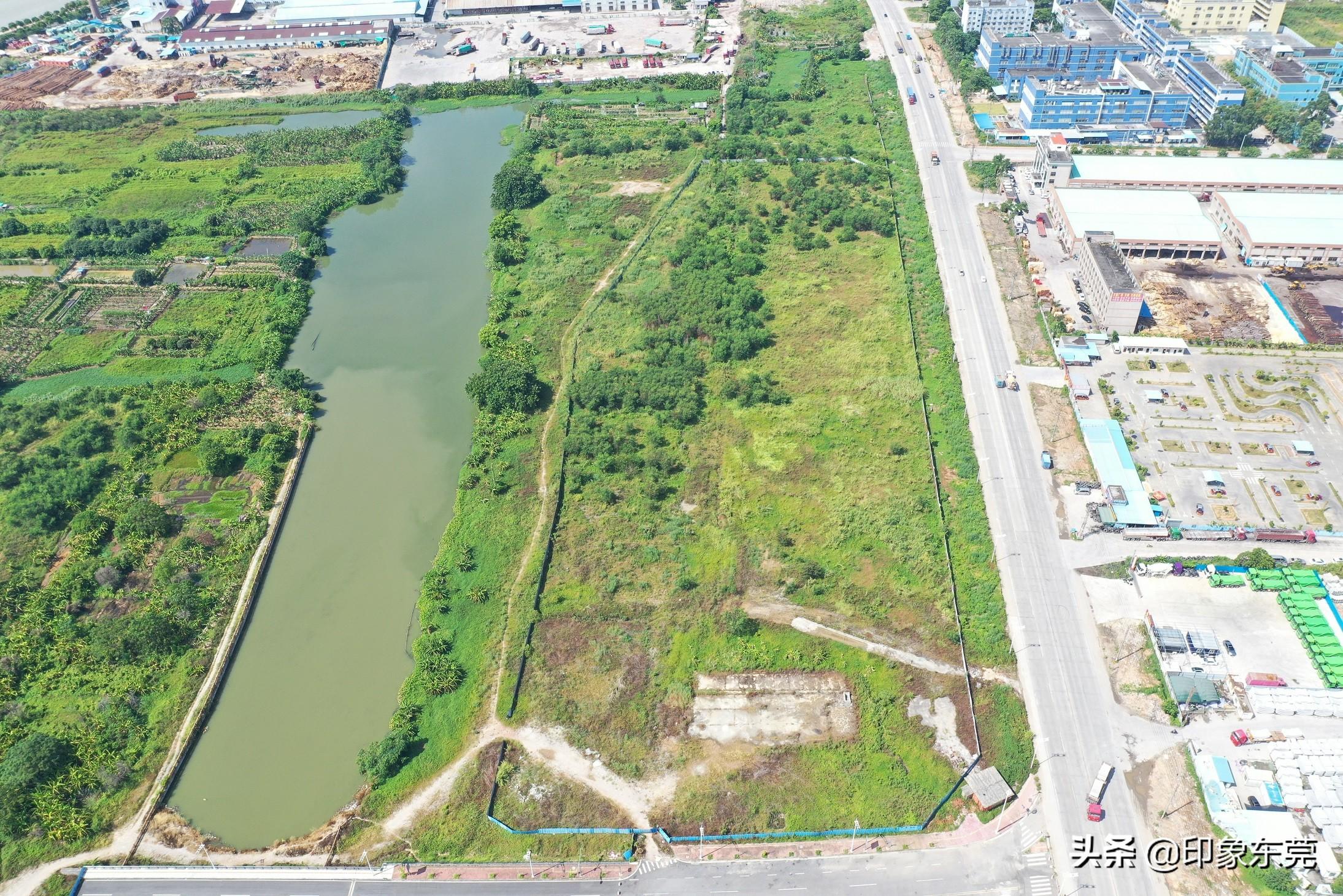 东莞土地拍卖最新动态，市场热度及前景展望