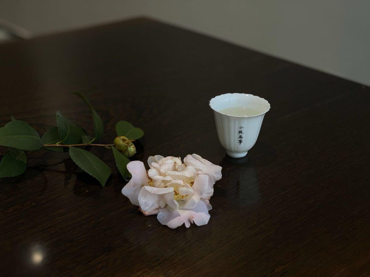 白茶上市时间,白茶上市时间，一篇详细的步骤指南