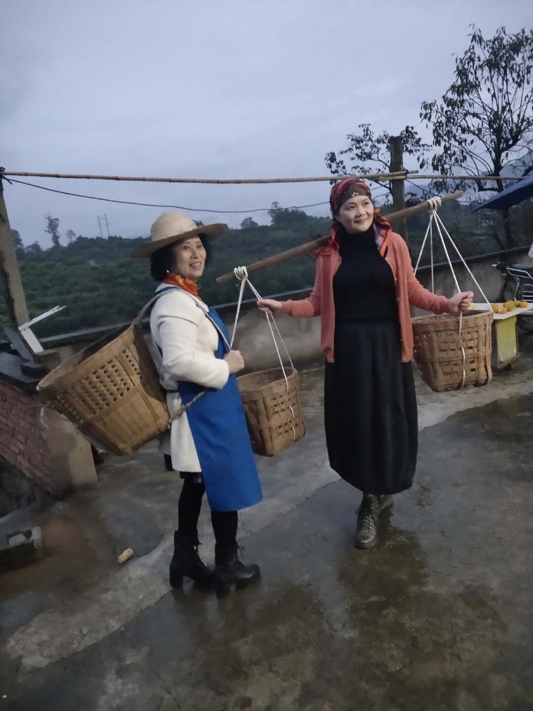 小村往事杨小宝最新纪事,小村往事杨小宝最新纪事，科技巨擘的新品揭秘