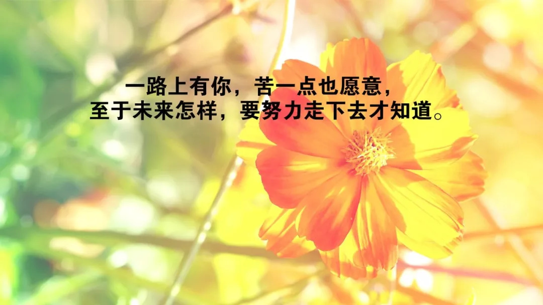 早安最新图片,早安最新图片，背景、影响与地位