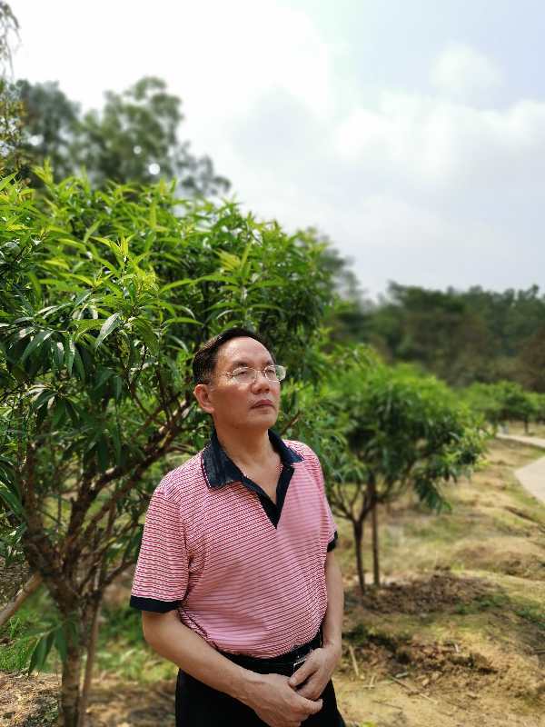 李晓文演员,重磅推荐李晓文演员，闪耀星光的无限魅力