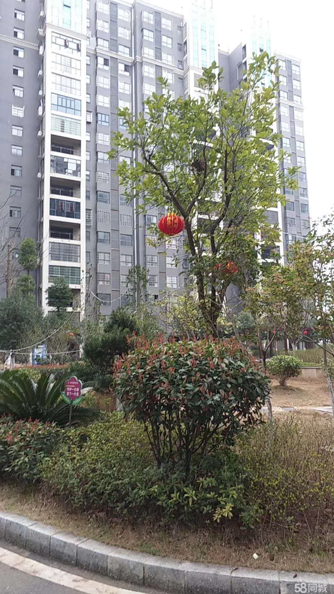 衡阳县西渡区最新二手房信息一览，启程寻找理想家园的宁静与美景。