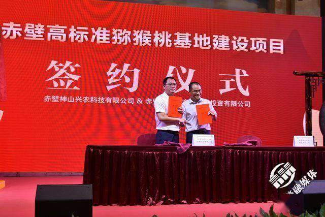 赤壁上市公司,赤壁上市公司，如何完成上市任务的全步骤指南（适合初学者与进阶用户）