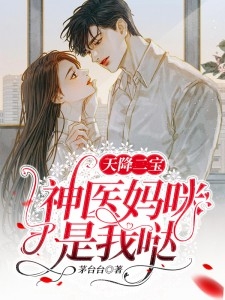 夏阑珊恋夜廷最新章节深度解析与探讨