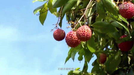成武新鲜资讯,成武新鲜资讯，跃动知识海洋，自信成就未来