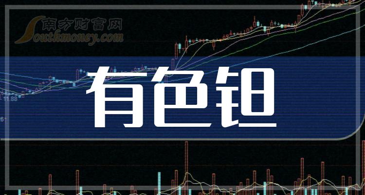 股票钽，投资视角与市场深度洞察