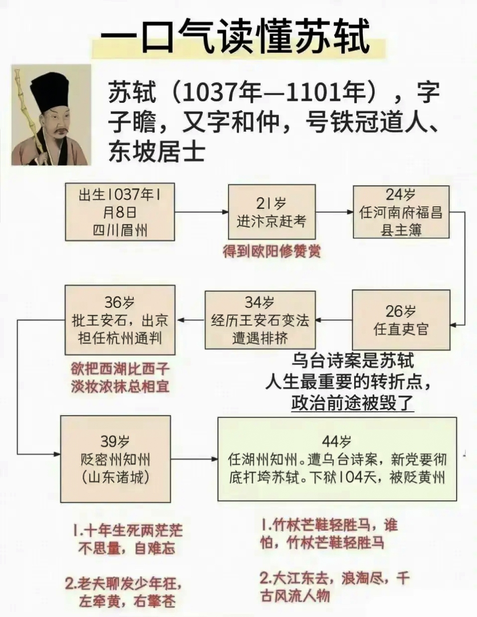 苏轼后代与自然美景的邂逅，寻找内心宁静之旅的最新动态