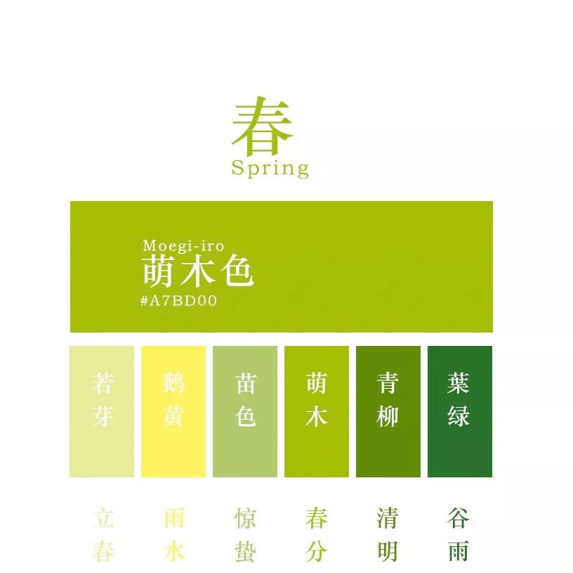 大董新品深度解析，独特魅力与潜在价值探索