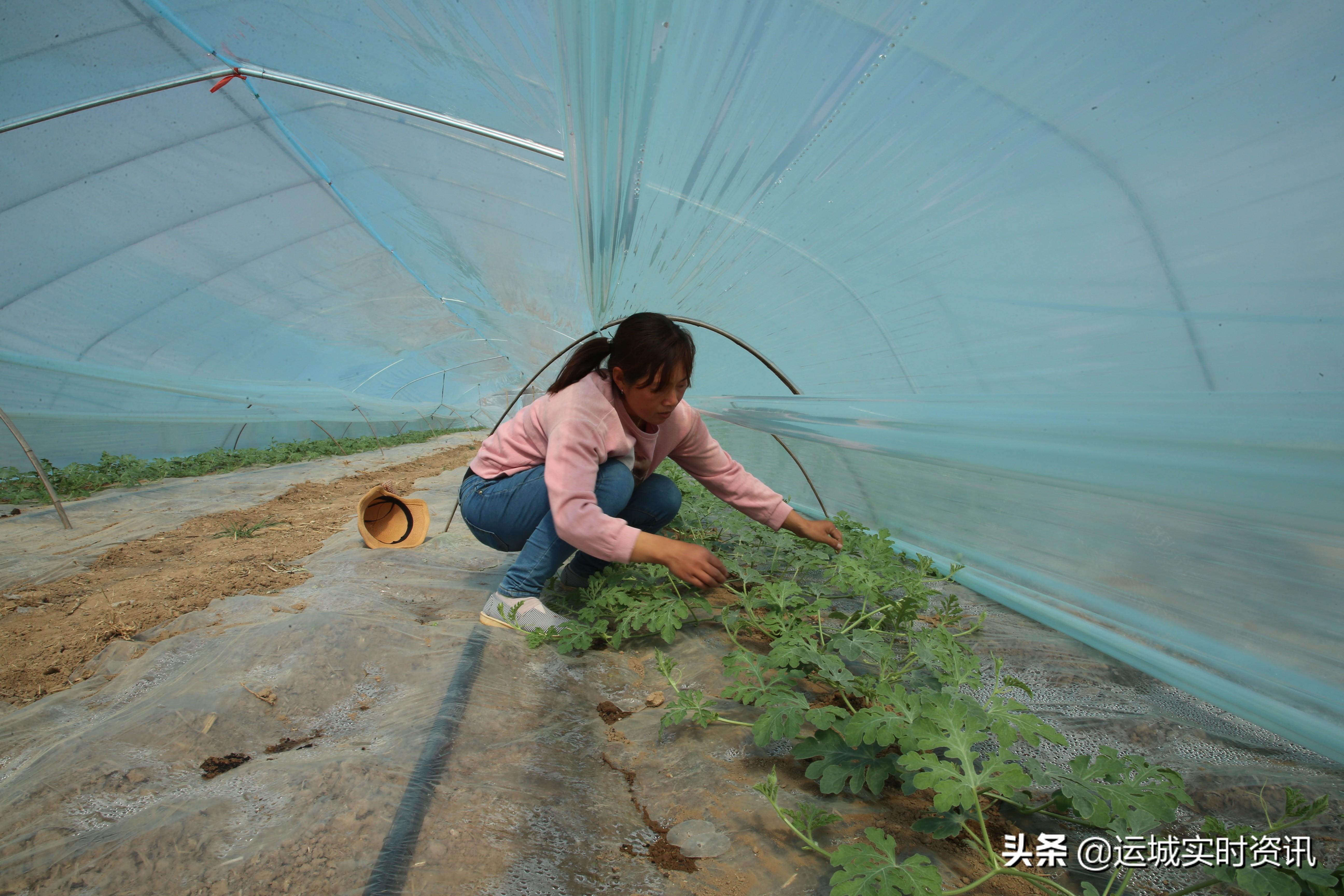 各类运输车辆 第86页