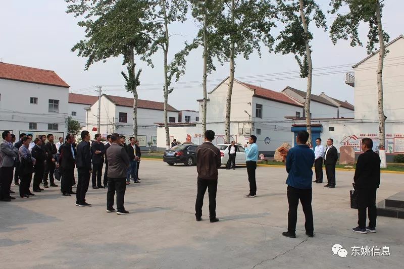 东姚镇最新任务指南，完成某项任务或学习新技能的指南与教程