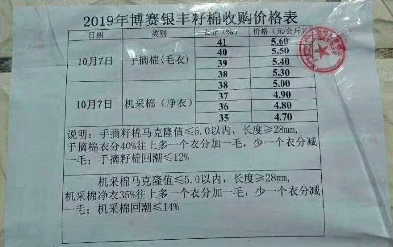 今日棉籽最新价格，多元观点分析与市场行情解读