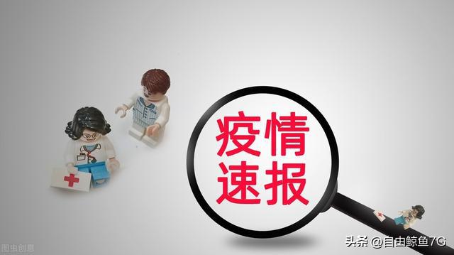 服务项目 第78页