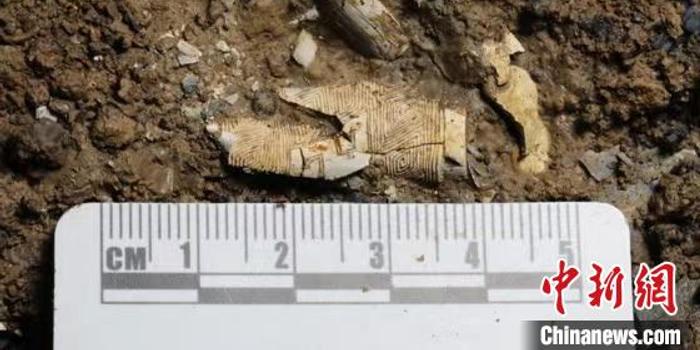 最新考古发现揭秘古代文明的神秘面纱面纱揭晓时刻