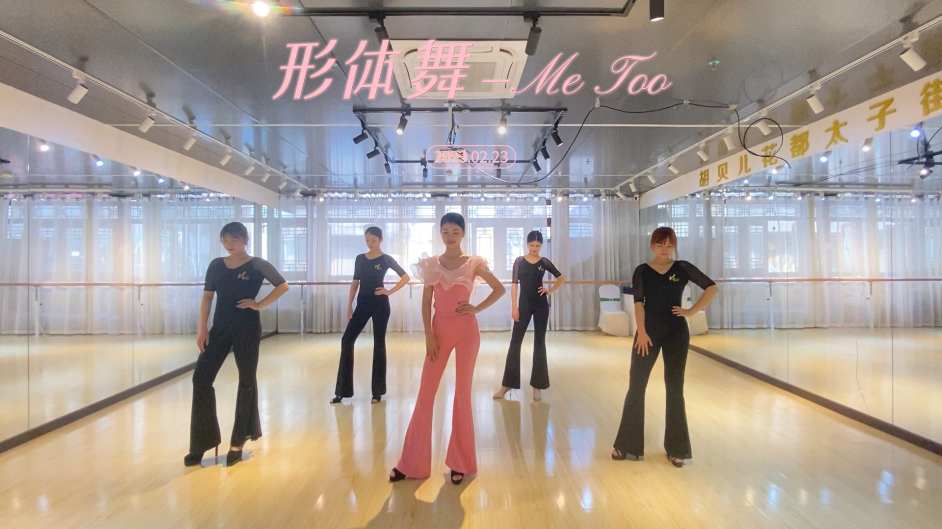 专业视角下的多元解读，最新形体舞蹈教程视频全面解析