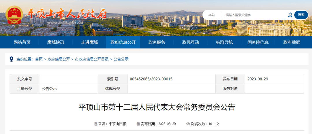 平顶山市政府人事新任命，探寻小巷独特风味背后的力量