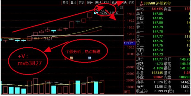 最新蓝筹股动态，科技巨擘重塑未来，领略蓝筹魅力与前沿科技风采