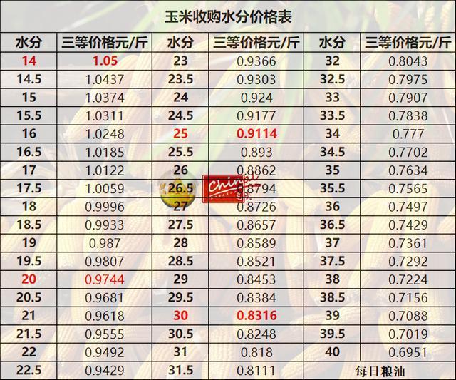 最新甜玉米价格与友情甜蜜日常记录