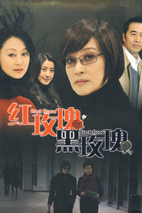 电视剧黑玫瑰演员表大全，详细步骤指南与角色介绍