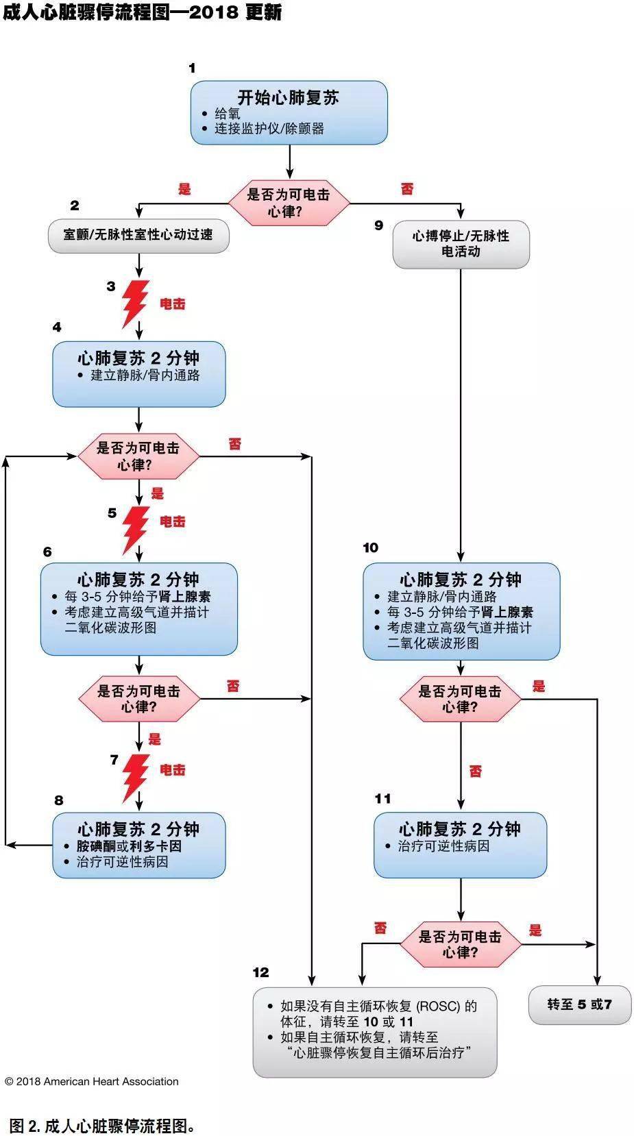 心肺复苏最新指南出炉，守护生命的关键更新（2025版）