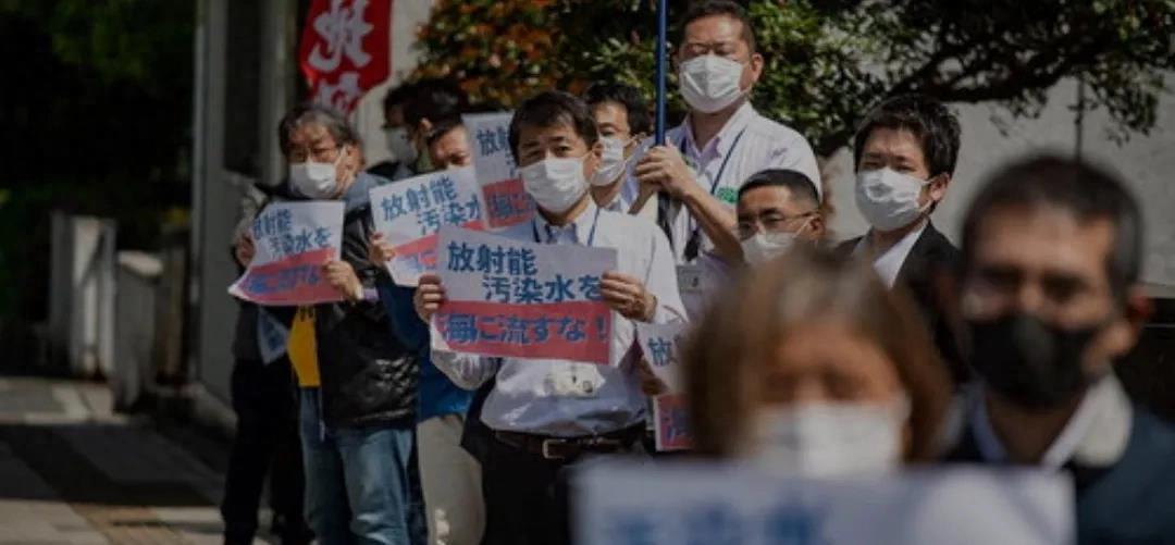 东电一公司最新动态揭秘，探寻自然美景之旅，启程心灵的宁静之旅