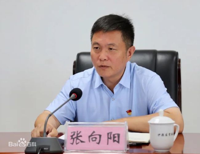 洛阳最新干部任命公示及名单揭晓✨