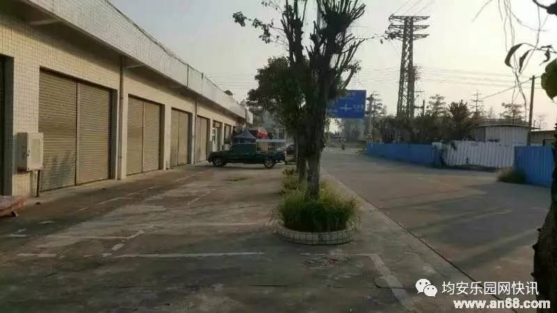 均安房屋出租最新信息及其背后的故事
