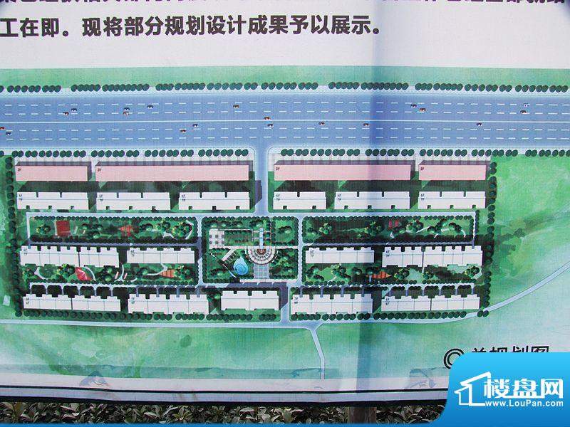 保定溪岸花语科技生活新篇章，最新动态与绽放的科技之花