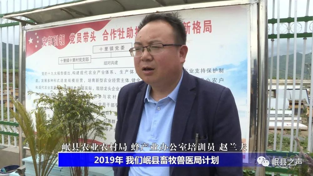 岷县最新动态，变化中的力量与学习带来的自信与成就感