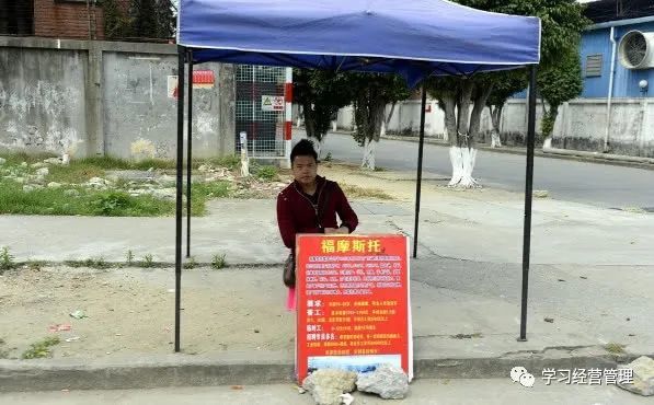 最新招聘放牧工人，草原学习与成长之旅启动