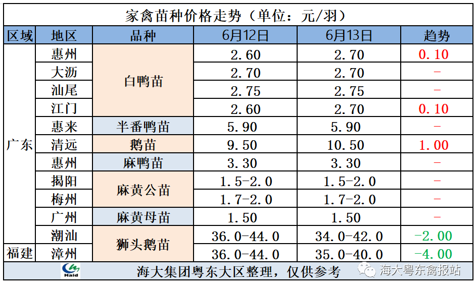 广东活鹅最新行情与小巷深处的鹅香探秘