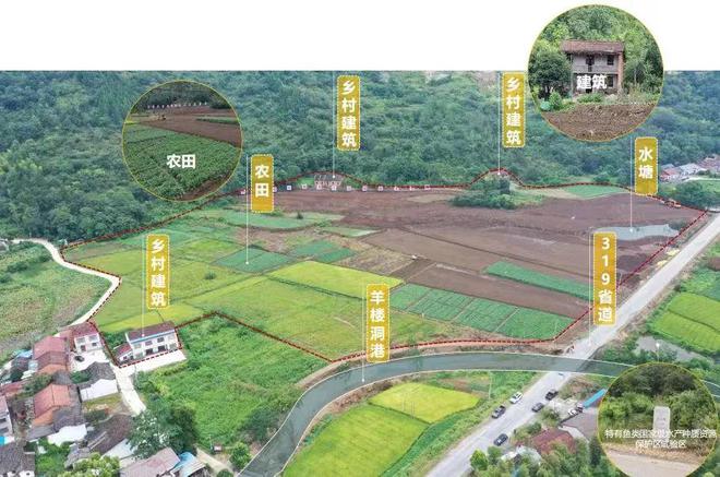 杨柳青农场最新规划，巷弄深处的绿意探索