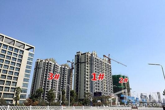 阜阳蓝山国际最新动态全面指南