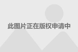 繁星直播最新网页版本，直播间的温馨日常时光