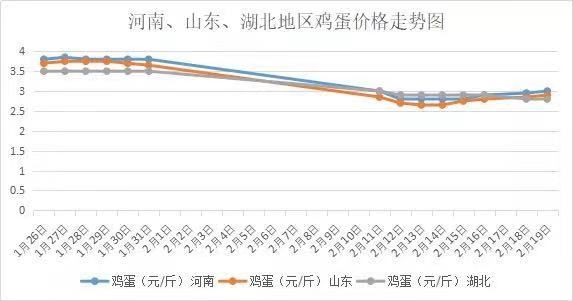 湖北鸡蛋价格行情动态，变化中的学习成就与自信展现的光芒
