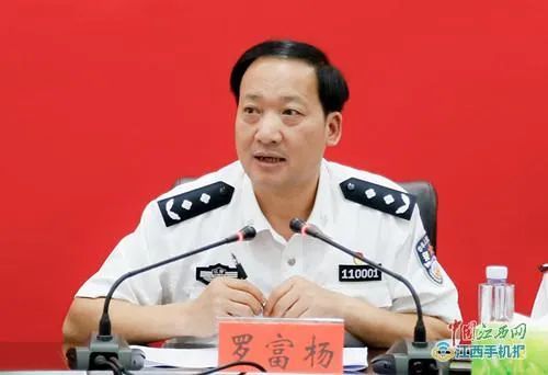 罗富杨最新信息重磅更新揭秘！